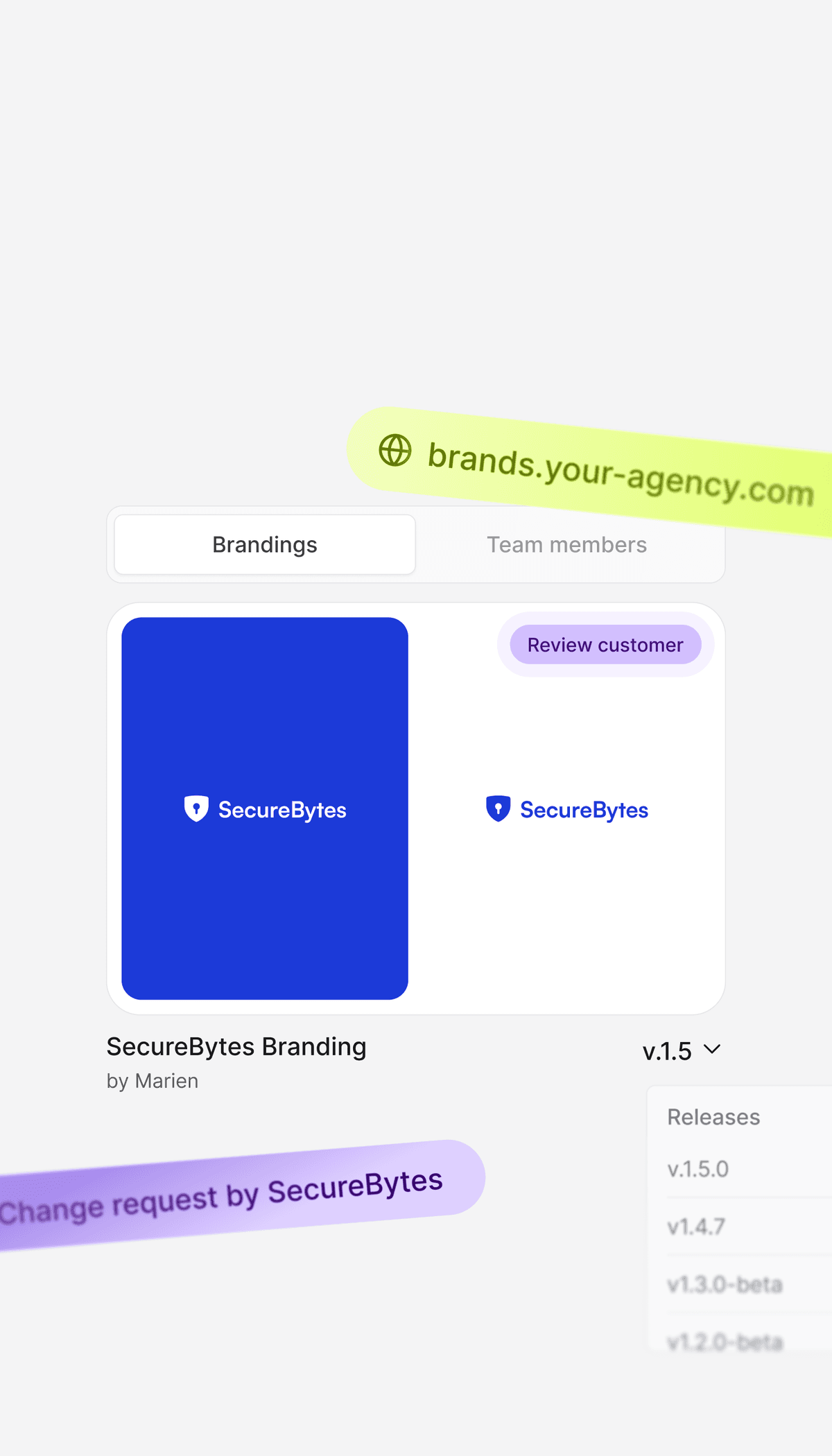 ybrand solution for agencies and teams